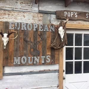 Meet your Posher, Chad